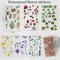722 Pcs Pressed Flower Stickers - 48 Sheets of Realistic Dried Floral Decals - Transparent Botanical Stickers for Resin, Scrapbooking, Journals, and DIY Crafts